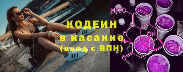 прущие грибы Гусиноозёрск
