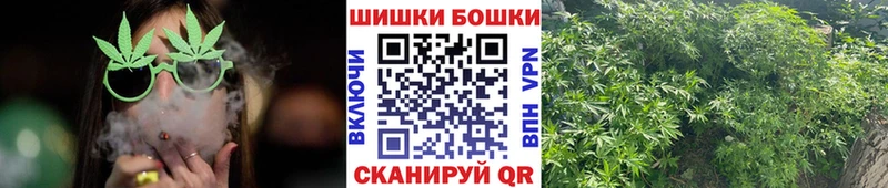 где можно купить   Злынка  Канабис сатива 